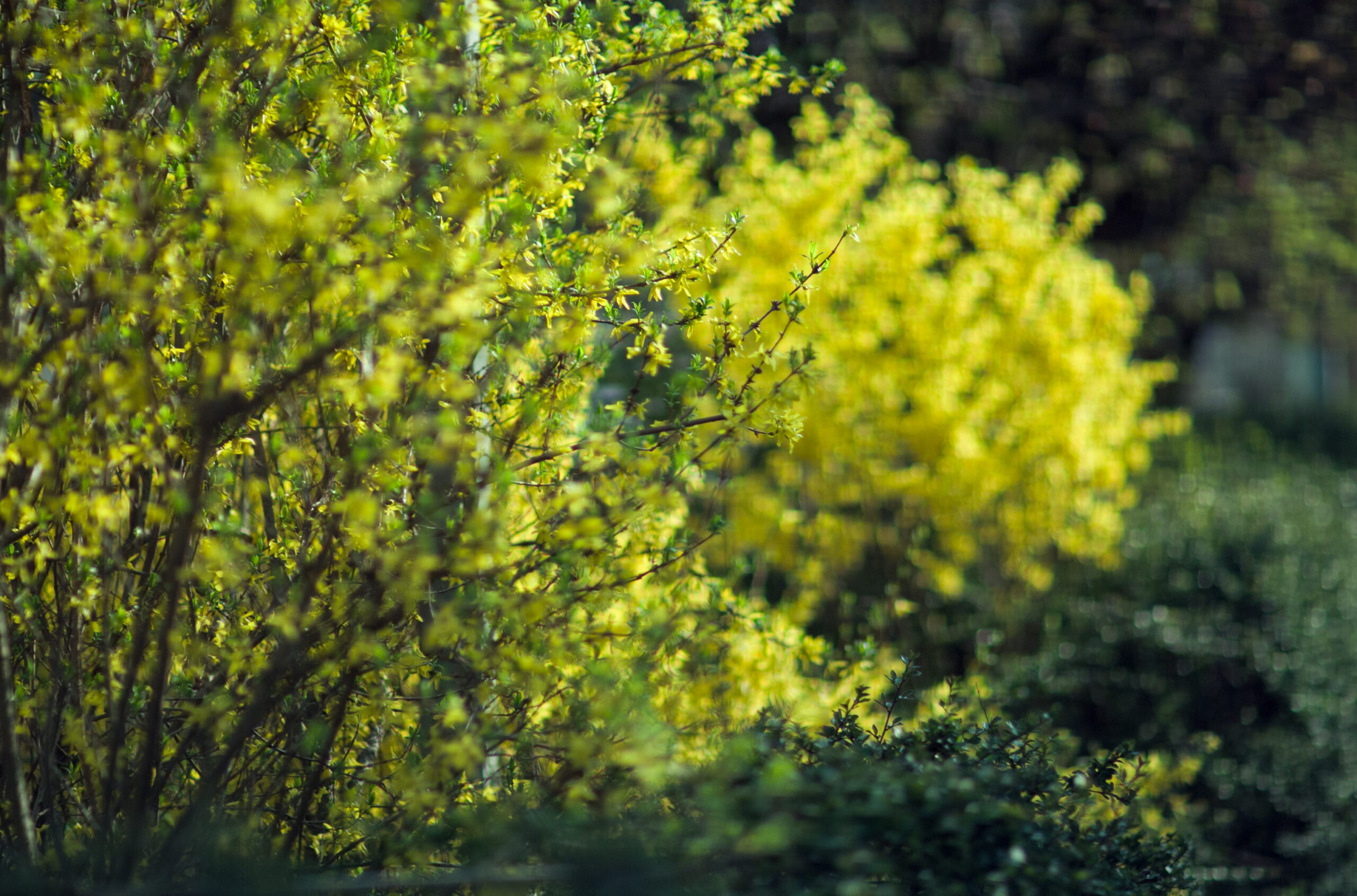 38n42645