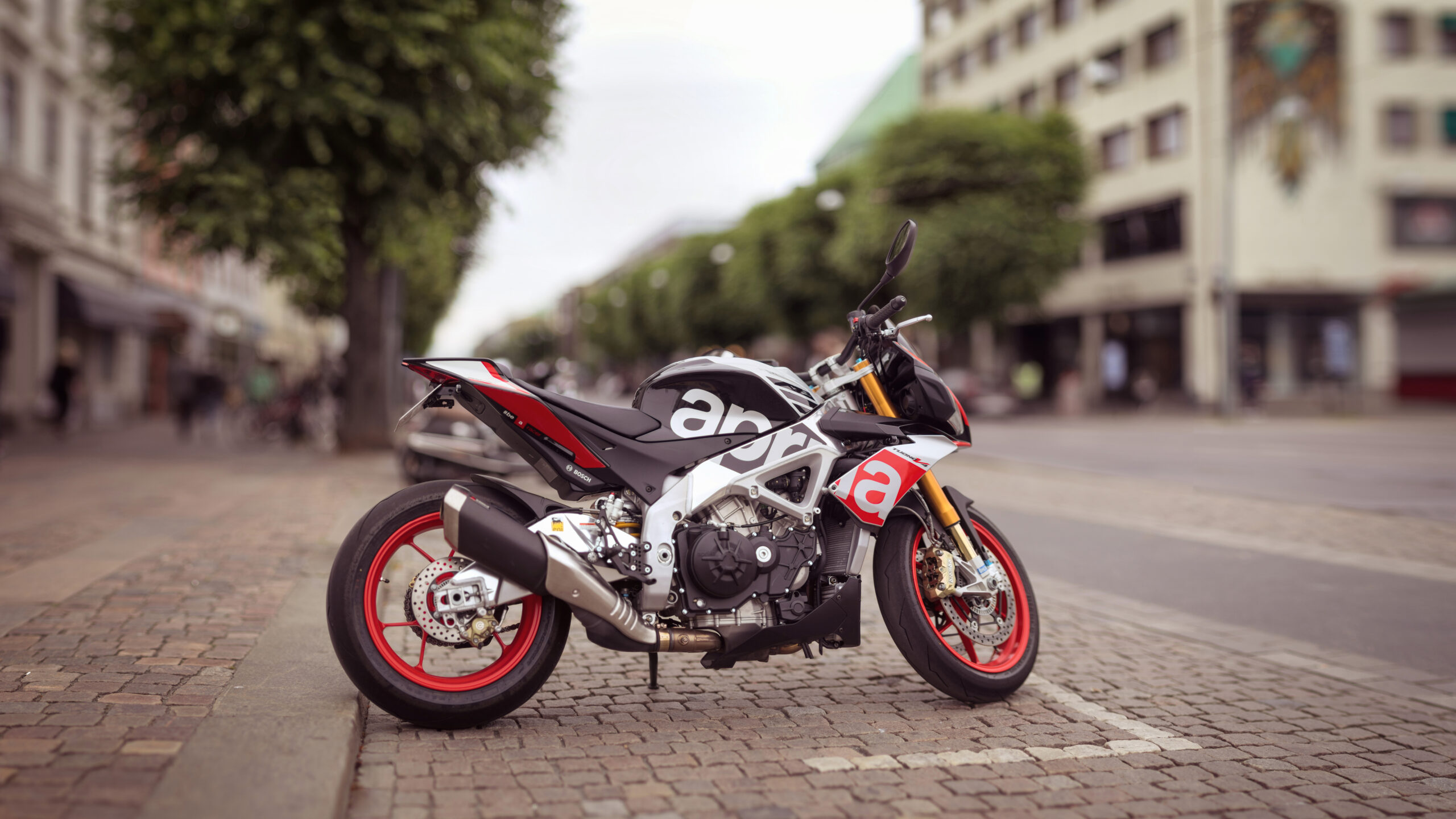 dsc01554 a2s