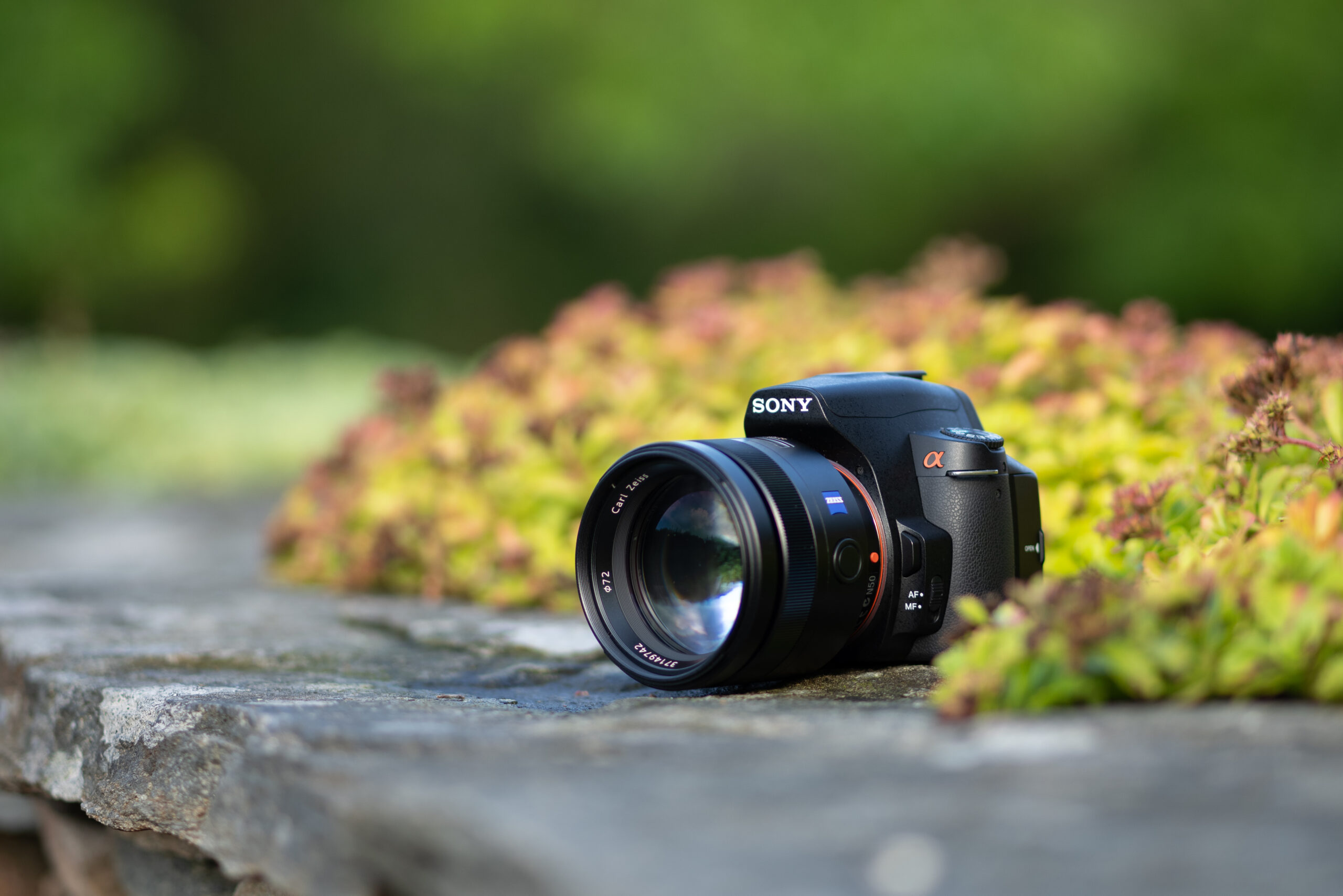Sony A390 dsc06927
