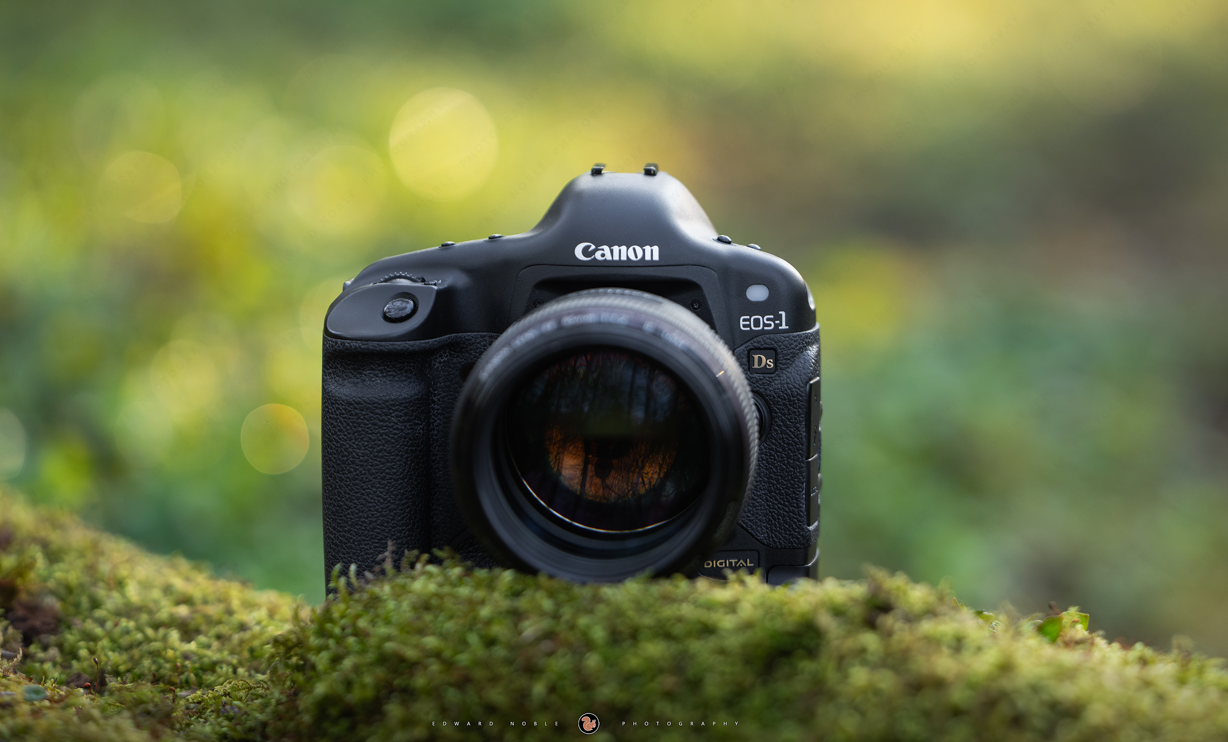 Canon 1Ds dsc09221