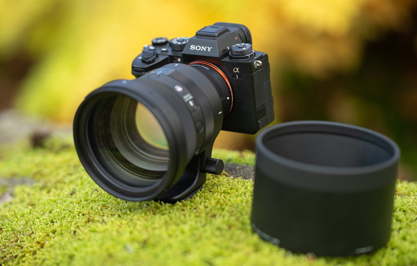 Sigma 135mm dsc03029