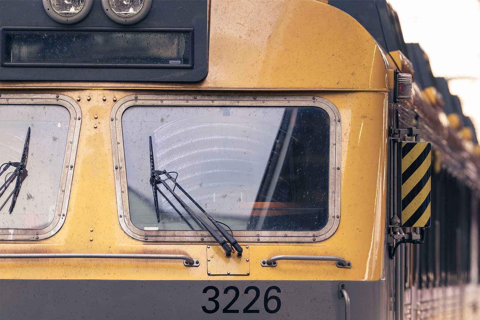 Sigma 135mm dsc08875 b